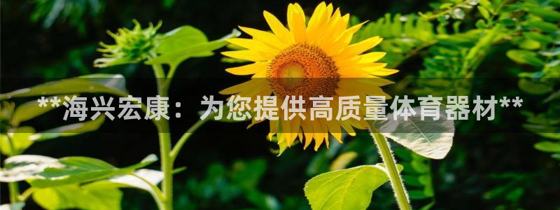 富联娱乐够7O777：**海兴宏康：为您提供高质量体