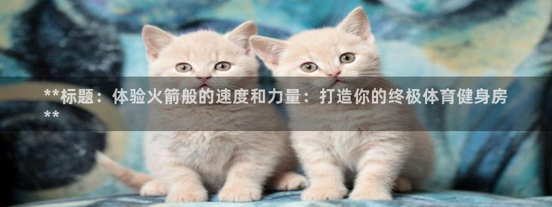 富联娱乐平台开户：**标题：体验火箭般的速度和力量：