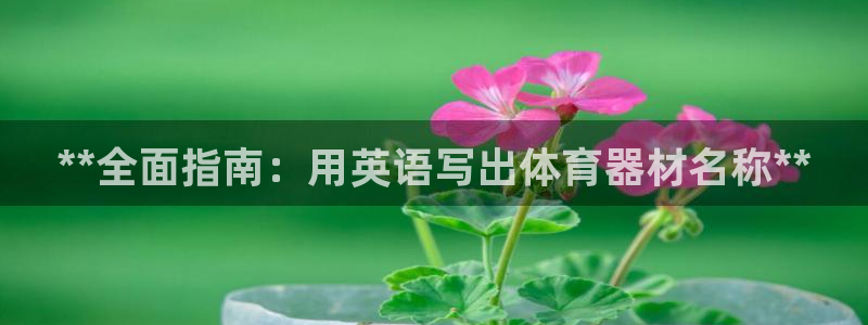 富联平台主管：**全面指南：用英语写出体育器材名称*