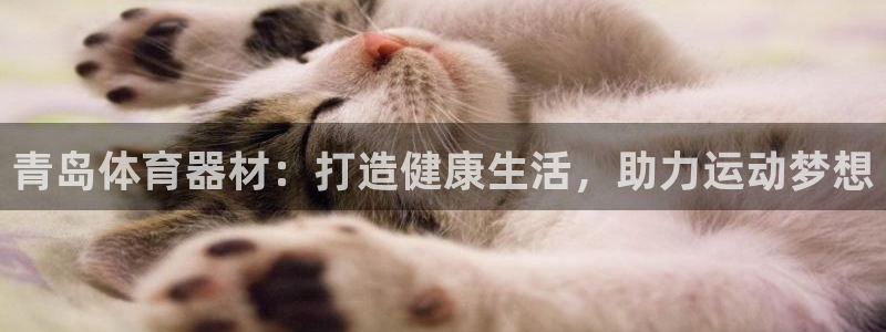 富联官方网站首页登录：青岛体育器材：打造健康生活，助