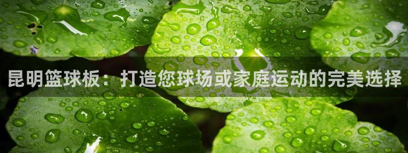 富联平台登录入口官网：昆明篮球板：打造您球场或家庭运
