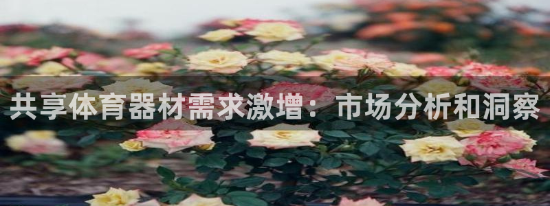 富联集团最新消息新闻：共享体育器材需求激增：市场分析