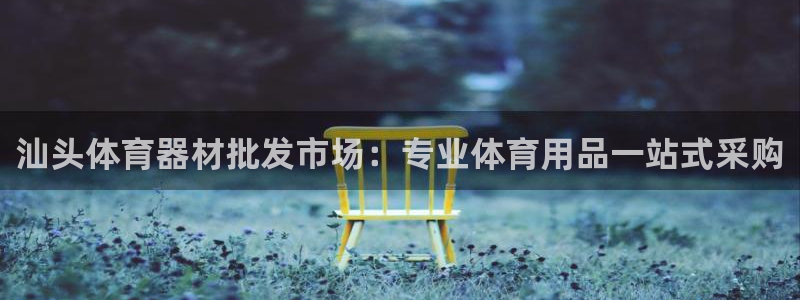 富联平台搜想 58534I 富联：汕头体育器材批发市