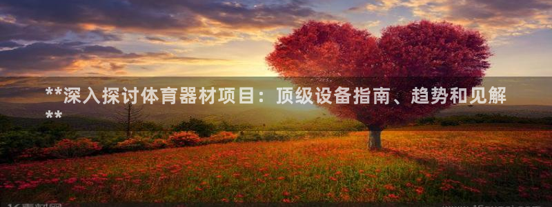 富联平台合 58534I 平台：**深入探讨体育器材