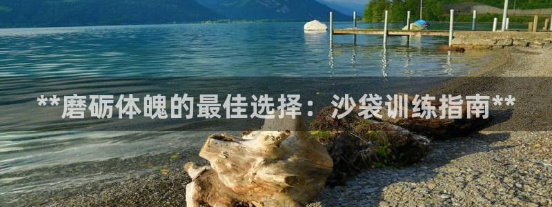 富联官方网站下载安装：**磨砺体魄的最佳选择：沙袋训