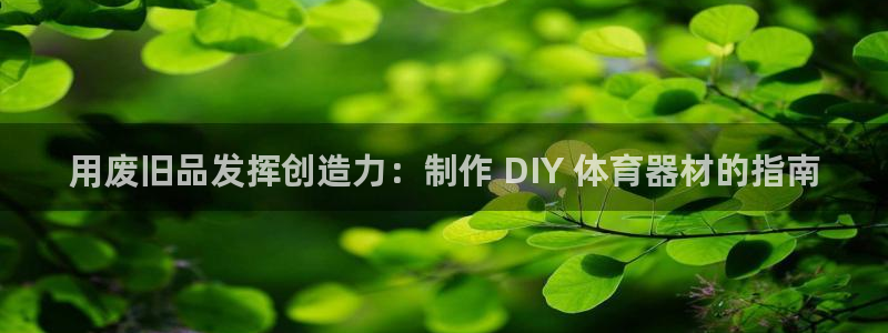 富联平台代理注册流程：用废旧品发挥创造力：制作 DI