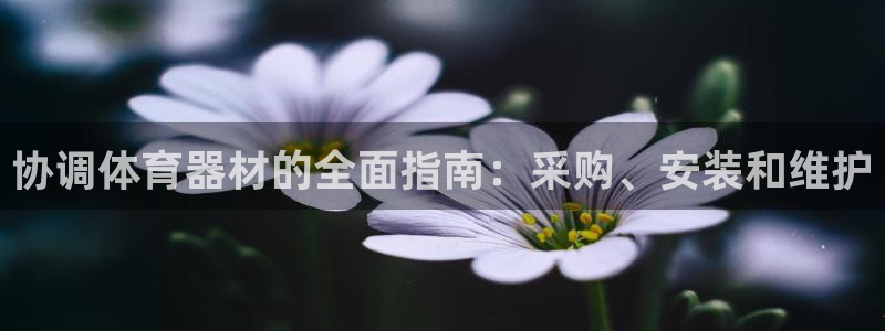 富联股份：协调体育器材的全面指南：采购、安装和维护