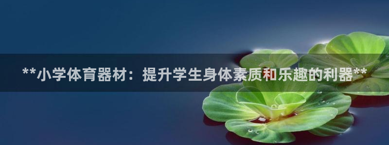 富联平台注册登录不上：**小学体育器材：提升学生身体