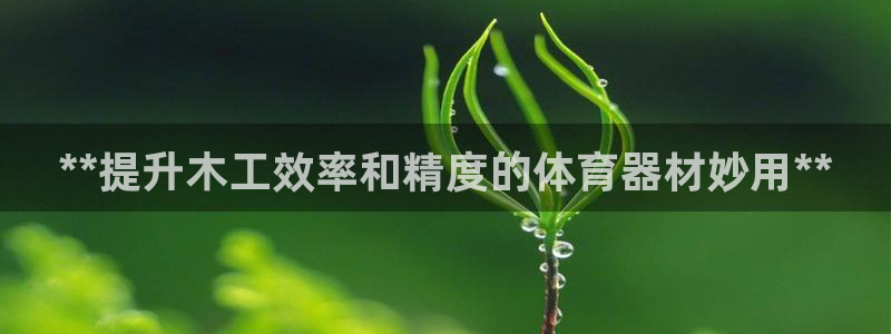富联娱乐在线注册链接怎么弄的：**提升木工效率和精度