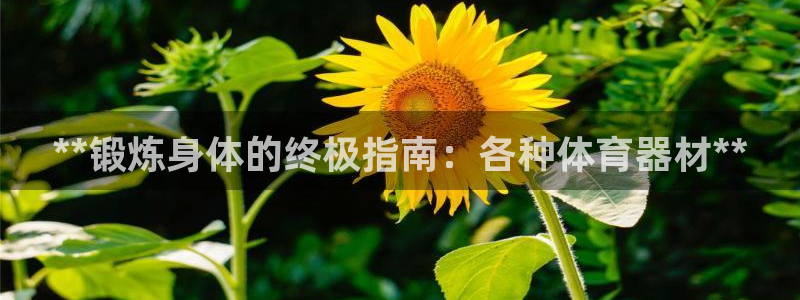 富联平台搜想 58534I 富联：**锻炼身体的终极