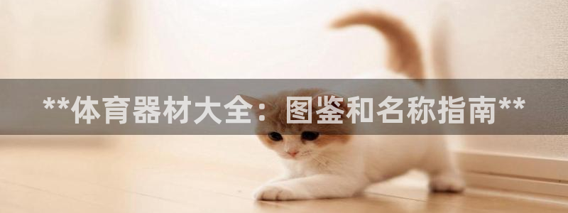 富联集团最新消息今天：**体育器材大全：图鉴和名称指