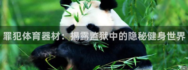 富联娱乐是资金盘吗：罪犯体育器材：揭露监狱中的隐秘健