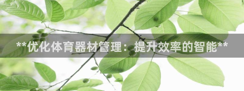 富联娱乐玩法机制是什么：**优化体育器材管理：提升效