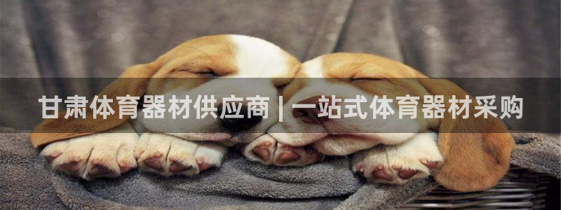 富联娱乐登录注册入口官网：甘肃体育器材供应商 | 一