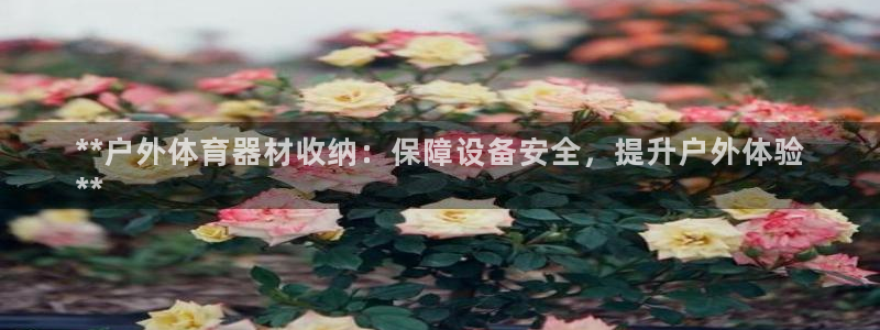 富联平台用户登陆失败：**户外体育器材收纳：保障设备