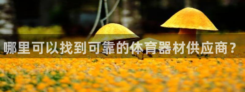 富联娱乐下载app：哪里可以找到可靠的体育器材供应商