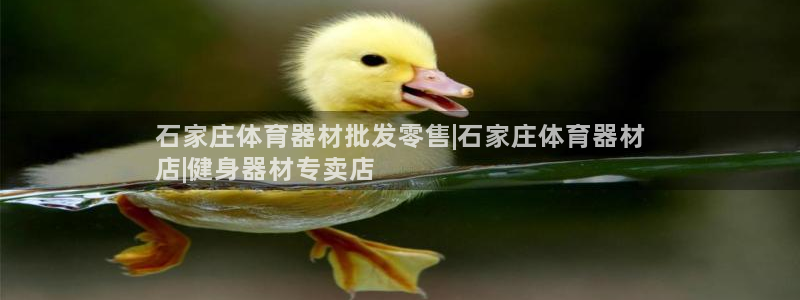 富联娱乐股东名单：石家庄体育器材批发零售|石家庄体育
