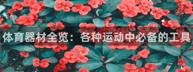 富联股份：体育器材全览：各种运动中必备的工具