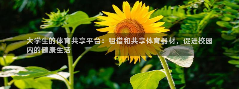 富联什么意思：大学生的体育共享平台：租借和共享体育器