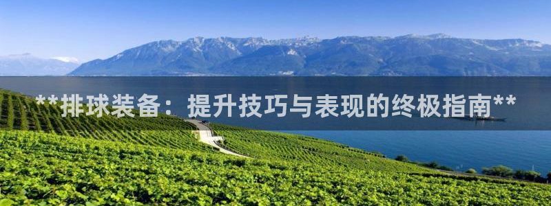 富联娱乐官方网站首页下载：**排球装备：提升技巧与表
