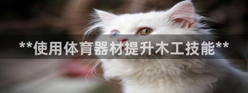 富联平台挂机怎么操作：**使用体育器材提升木工技能*