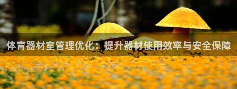 富联地产怎么样知乎：体育器材室管理优化：提升器材使用