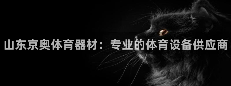 富联平台注册登录不上：山东京奥体育器材：专业的体育设