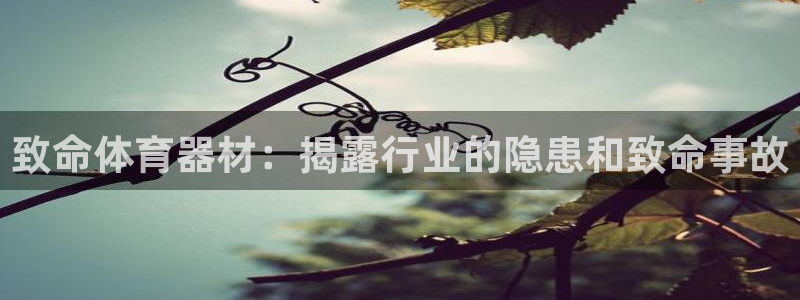 富联官网代理系列是正品吗：致命体育器材：揭露行业的隐