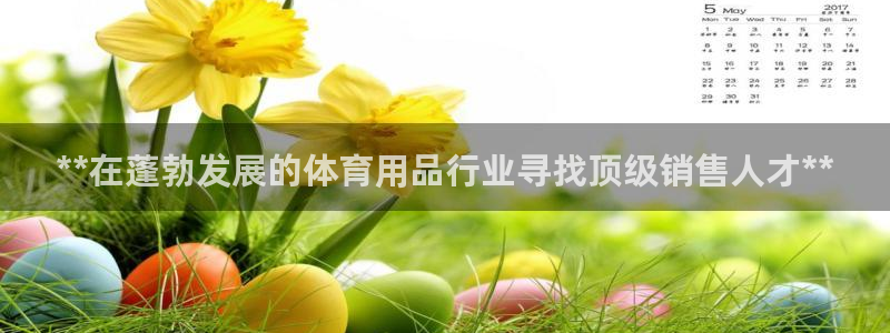 富联娱乐总代：**在蓬勃发展的体育用品行业寻找顶级销