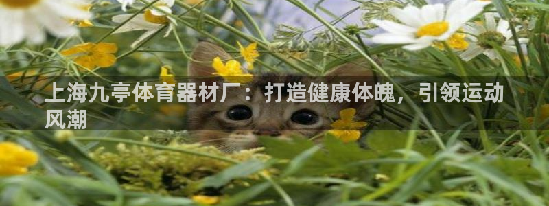 富联平台主管代理：上海九亭体育器材厂：打造健康体魄，