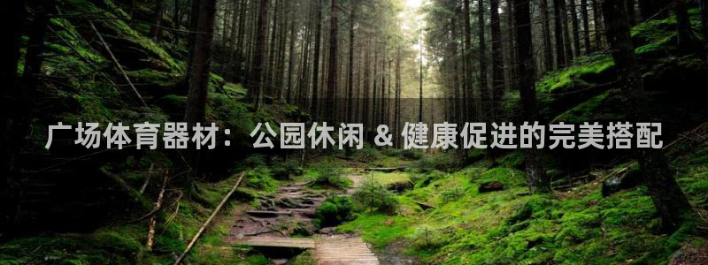 富联平台安装流程：广场体育器材：公园休闲 & 健康促
