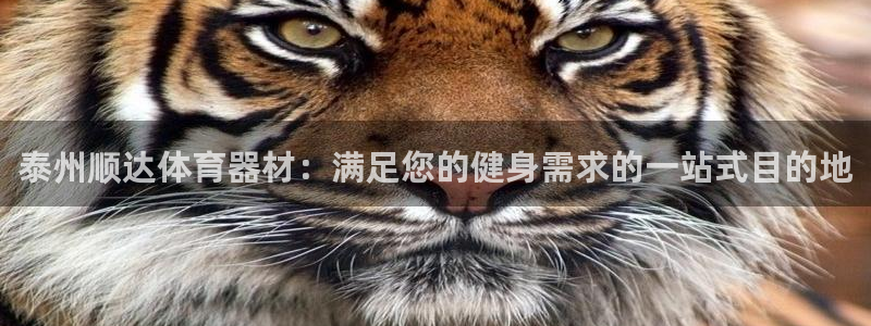 富联平台登录网址：泰州顺达体育器材：满足您的健身需求