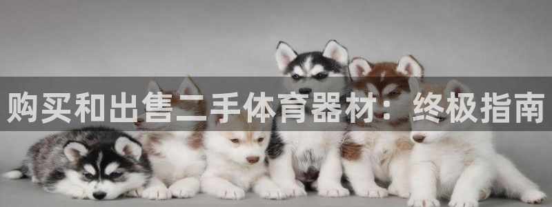富联娱乐登录地址查询：购买和出售二手体育器材：终极指