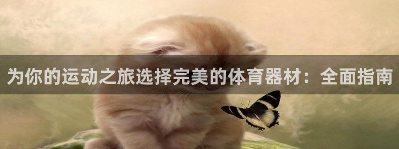 富联平台代理注册流程：为你的运动之旅选择完美的体育器