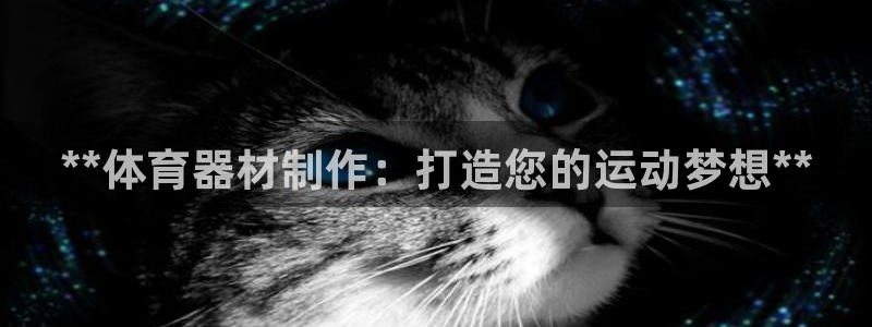 富联官方网站入口查询网址：**体育器材制作：打造您的