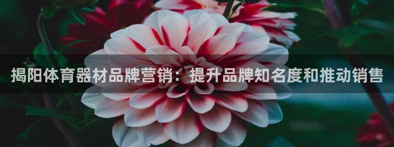 富联平台注册地址在哪里：揭阳体育器材品牌营销：提升品