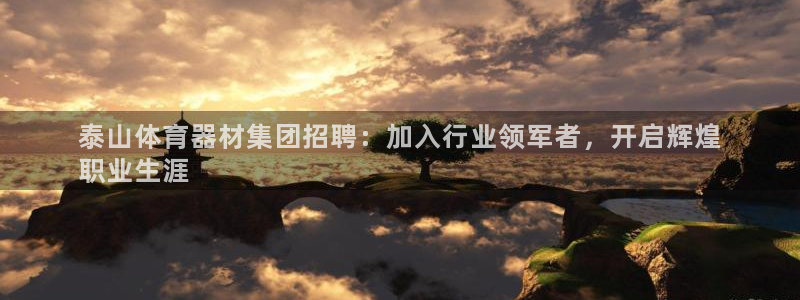 富联申购上市价格预测表：泰山体育器材集团招聘：加入行