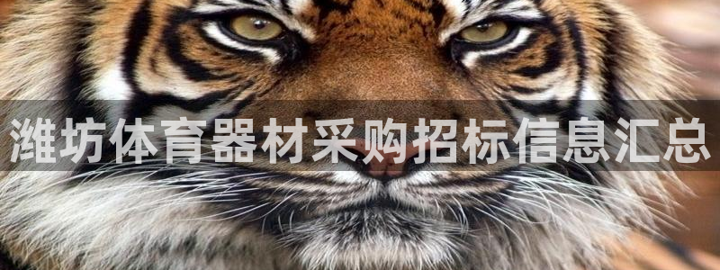 富联平台网站登录入口：潍坊体育器材采购招标信息汇总