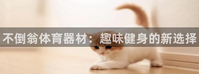 富联娱乐代理怎么做：不倒翁体育器材：趣味健身的新选择