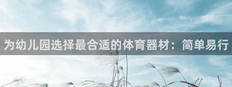 富联股份代码是多少：为幼儿园选择最合适的体育器材：简