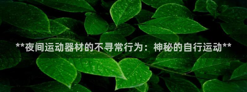 富联平台官网下载：**夜间运动器材的不寻常行为：神秘