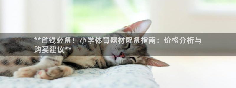 富联娱乐在线注册链接是什么：**省钱必备！小学体育器