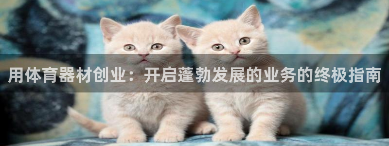 富联平台注册地址在哪里：用体育器材创业：开启蓬勃发展