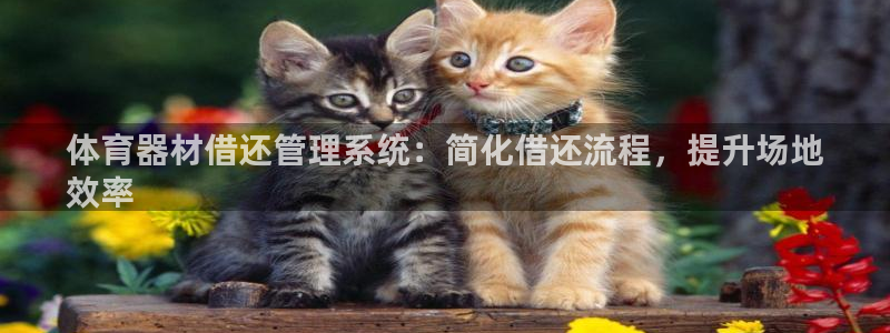 富联官方网站首页入口网址：体育器材借还管理系统：简化