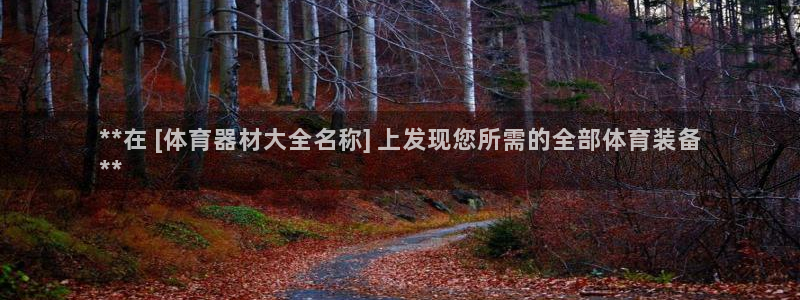 富联平台地址是什么：**在 [体育器材大全名称] 上
