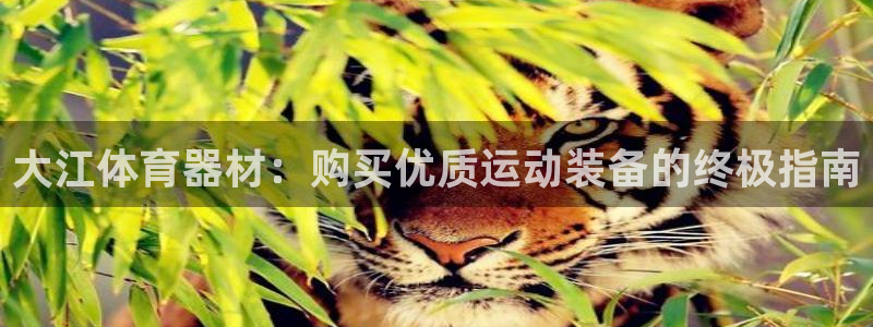 富联官网授权店铺：大江体育器材：购买优质运动装备的终