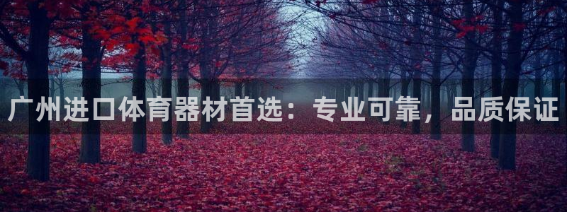 富联娱乐客服微信：广州进口体育器材首选：专业可靠，品