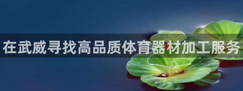 富联娱乐测速怎么样：在武威寻找高品质体育器材加工服务