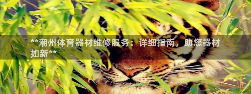 富联娱乐平台怎么样知乎：**潮州体育器材维修服务：详