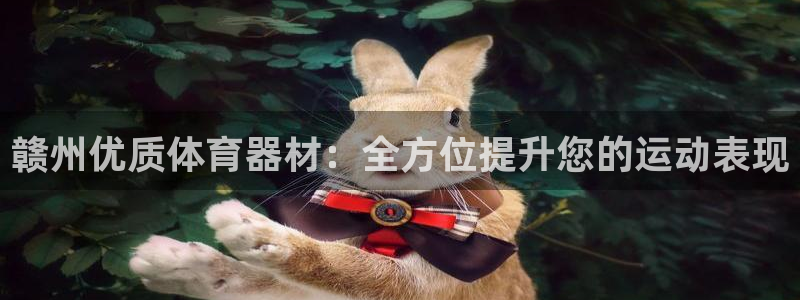 富联一区属于哪个街道：赣州优质体育器材：全方位提升您